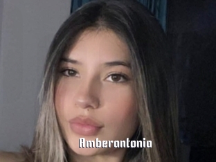 Amberantonia