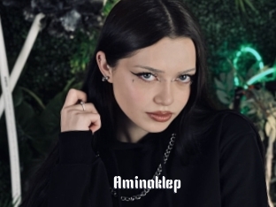 Aminaklep