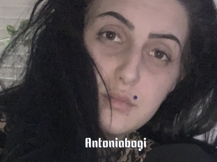 Antoniabogi