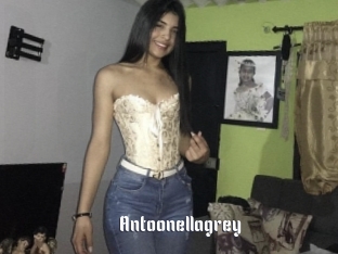 Antoonellagrey