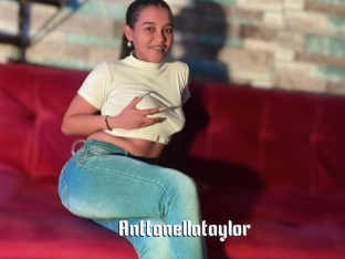 Anttonellataylor