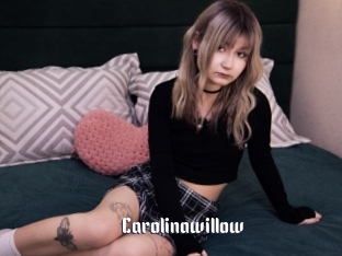 Carolinawillow