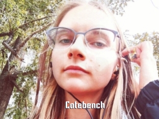 Catebench