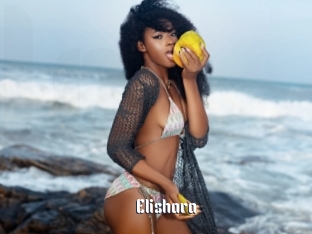 Elishara