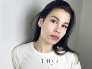 Ellettpro