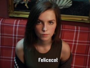 Felicecat