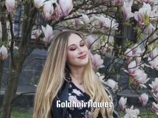 Goldhairflower