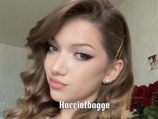 Harrietbagge