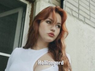 Hollisagard