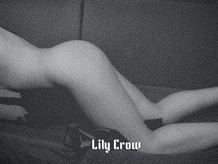 Lily_Crow