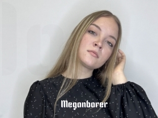 Meganborer