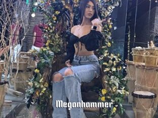 Meganhammer