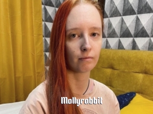 Mollyrabbit