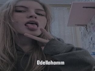 Odellahamm