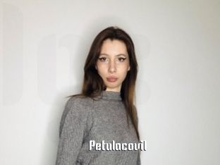 Petulacovil