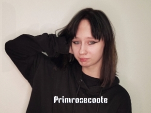 Primrosecoote