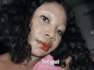 Secypot