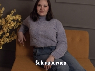 Selenabarnes