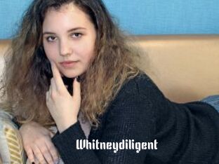 Whitneydiligent
